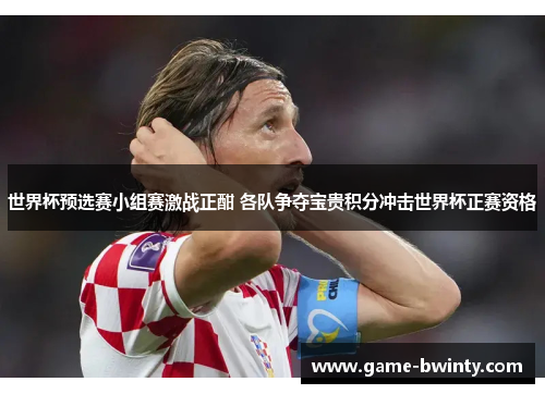 世界杯预选赛小组赛激战正酣 各队争夺宝贵积分冲击世界杯正赛资格