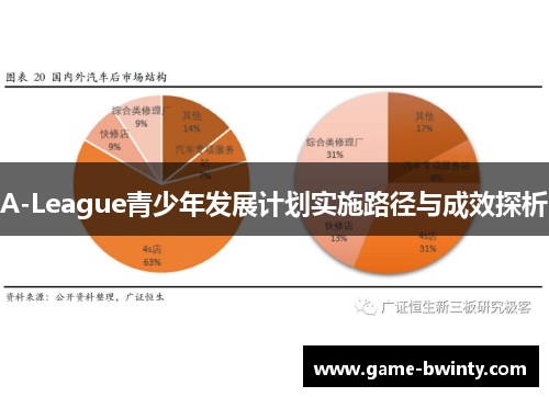 A-League青少年发展计划实施路径与成效探析