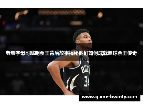 老詹字母哥姚明票王背后故事揭秘他们如何成就篮球票王传奇