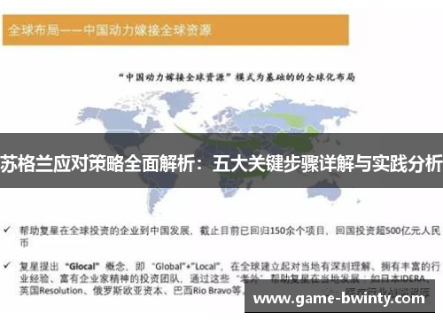 苏格兰应对策略全面解析：五大关键步骤详解与实践分析